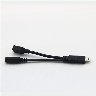 10 Pin MINI USB To MINI USB 3.5mm Female Cable